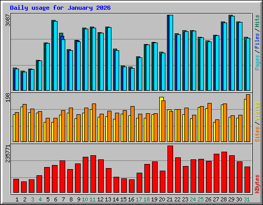 Daily usage for January 2026