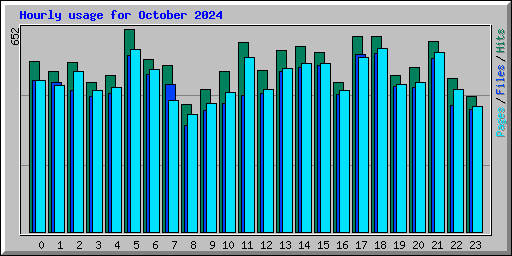 Hourly usage for October 2024