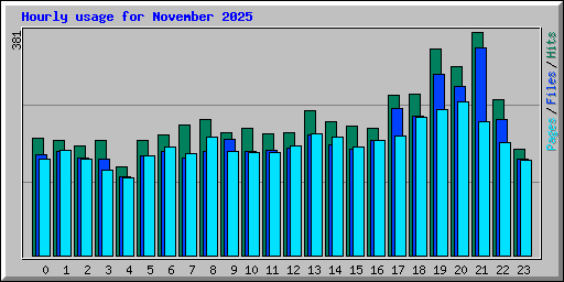 Hourly usage for November 2025